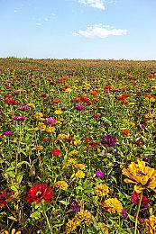 还在发力！ PS4获13.00版本新更新